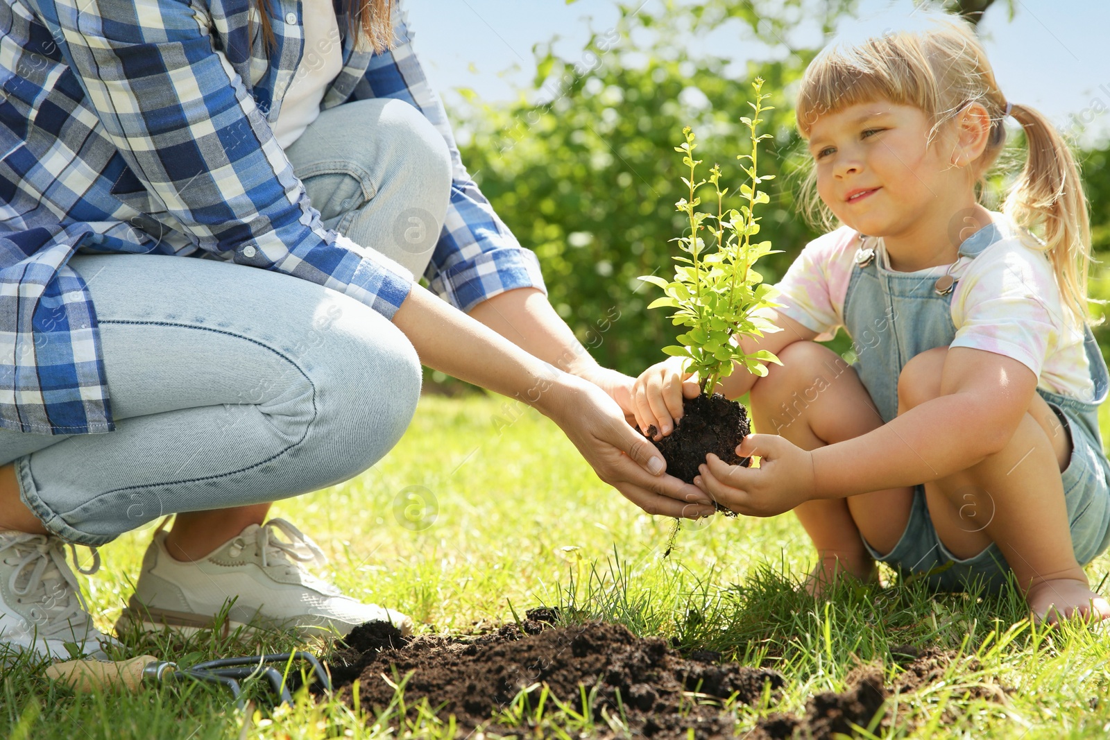 Photo of Mother and her daughter planting tree together in garden