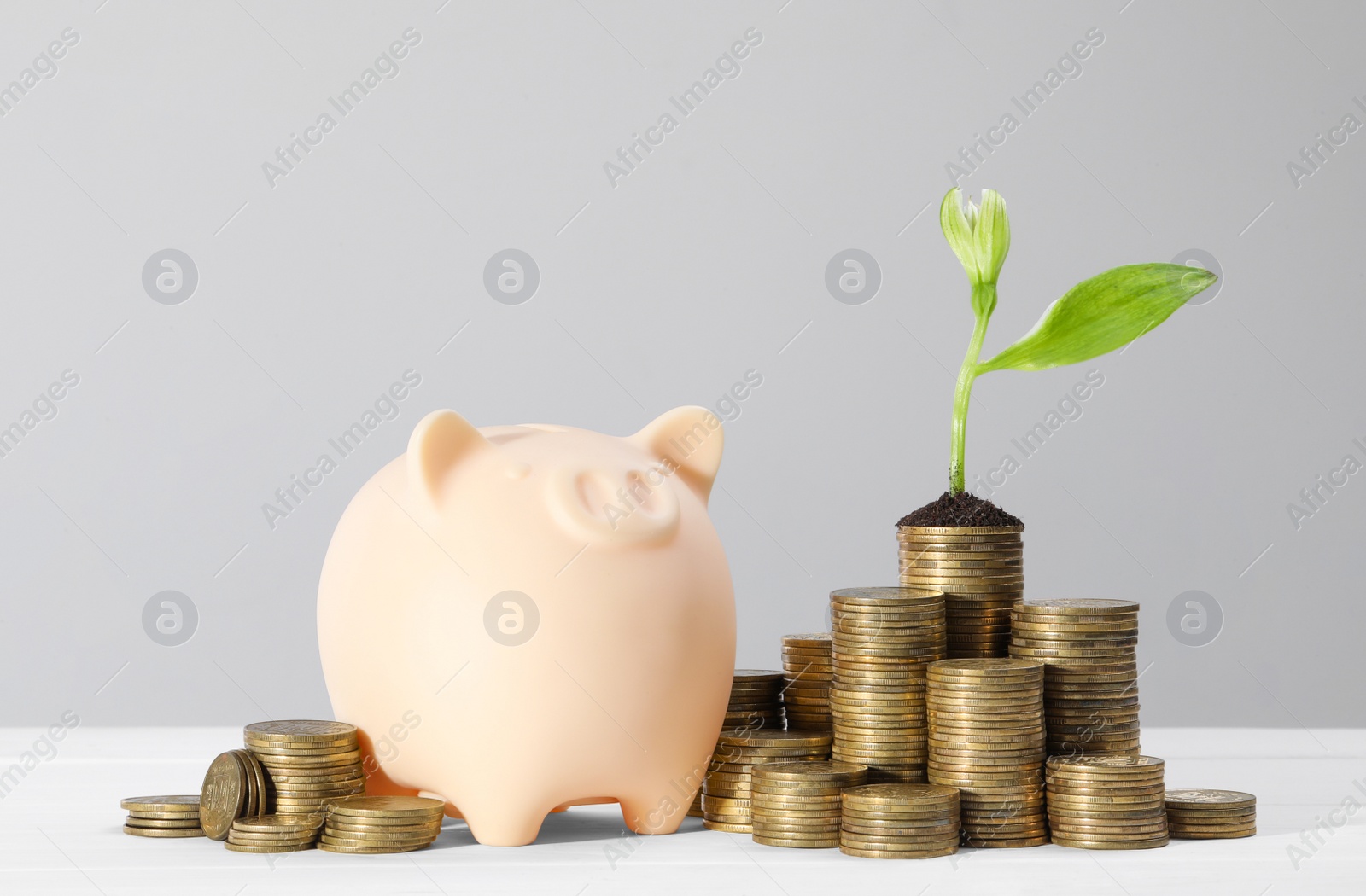 Photo of Stacks of coins with flower and piggy bank on white table against light grey background. Investment concept