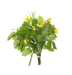 Photo of Bunch of celandine with yellow flowers and green leaves isolated on white