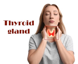 Woman with illustration of thyroid gland and phrase Thyroid gland on white background