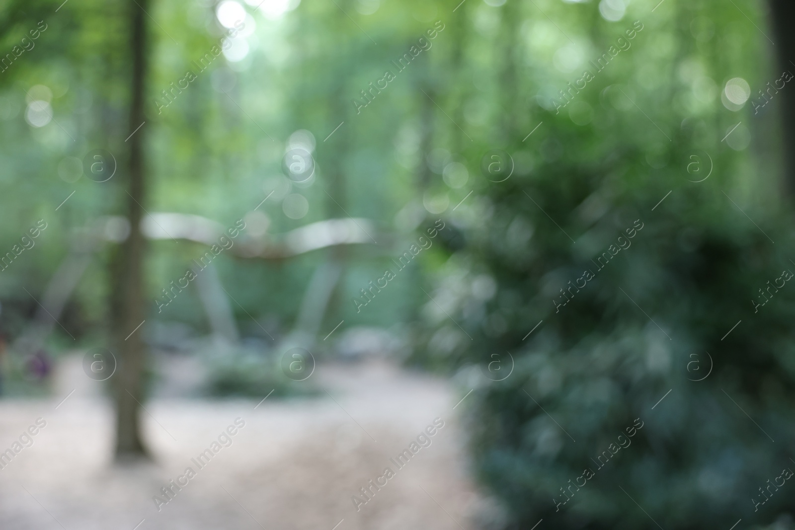 Photo of Blurred view of green trees in forest