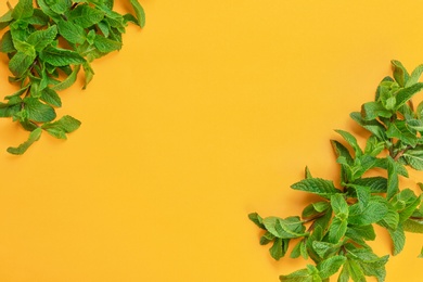 Fresh green mint leaves on color background, top view