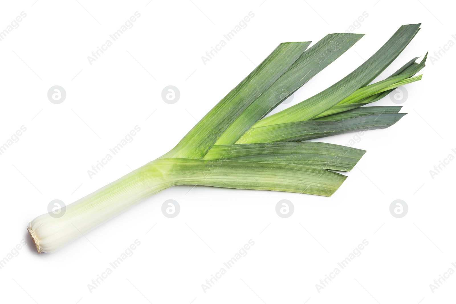 Photo of Fresh raw leek on white background. Ripe onion