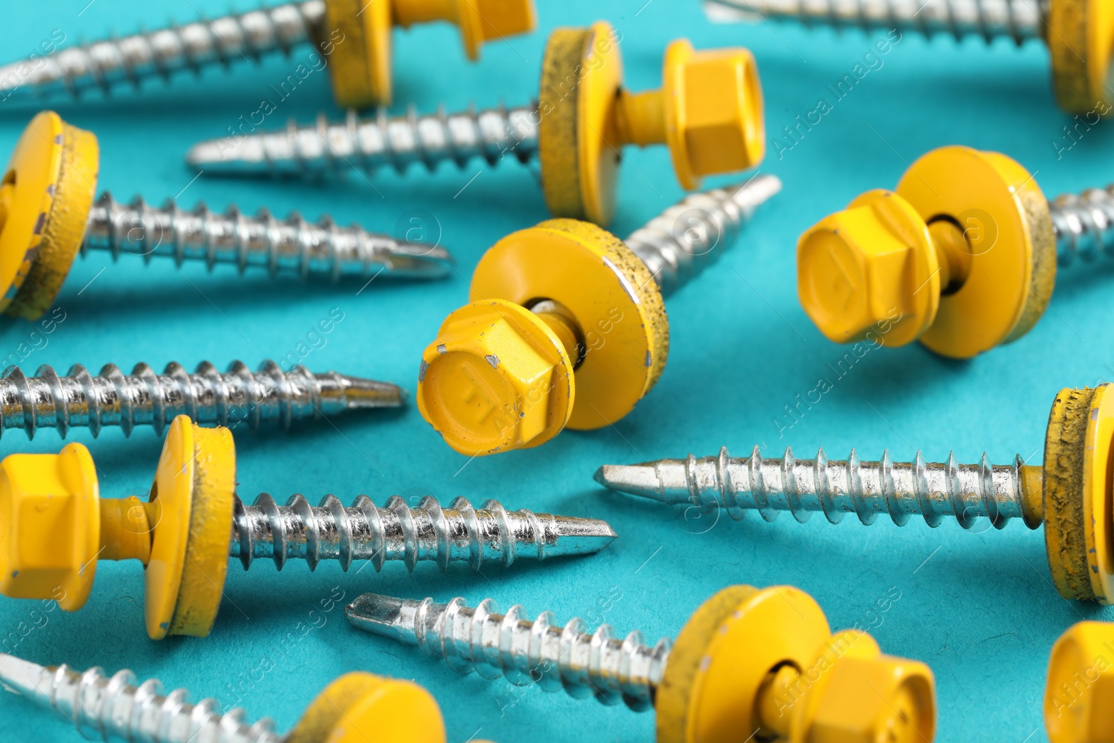 Photo of Yellow self-tapping screws on light blue background, closeup