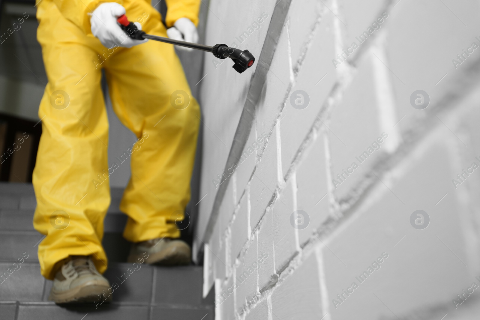 Photo of Pest control worker spraying pesticide indoors, closeup