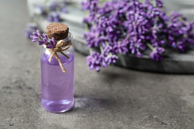 Photo of Bottle of essential oil and lavender flowers on grey stone table, closeup. Space for text
