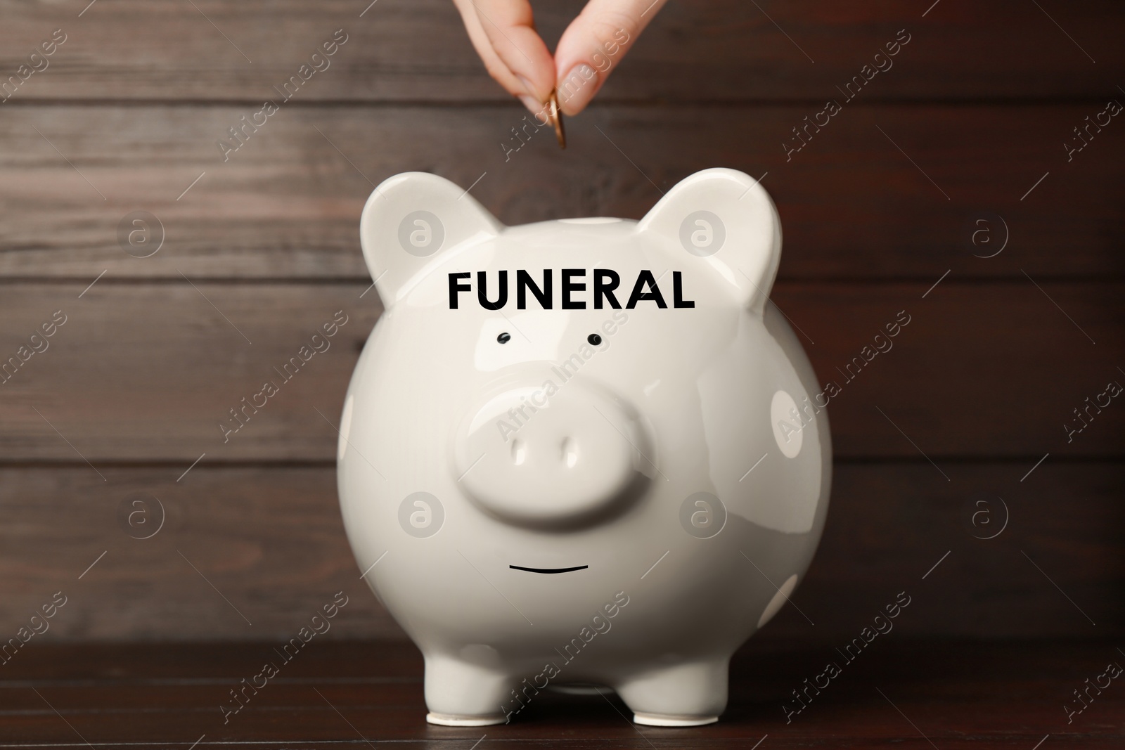 Image of Money for funeral expenses. Woman putting coin into white piggy bank at wooden table, closeup