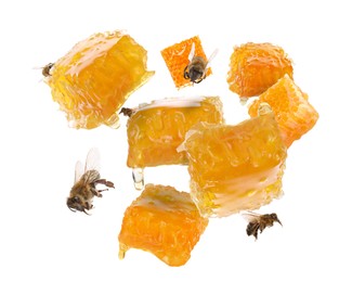 Pieces of honeycomb in air and bees flying on white background