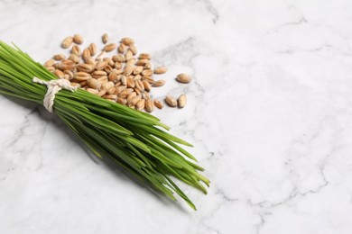 Photo of Sprouts of wheat grass and seeds on white marble table. Space for text