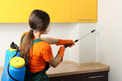 Pest control worker spraying pesticide in kitchen