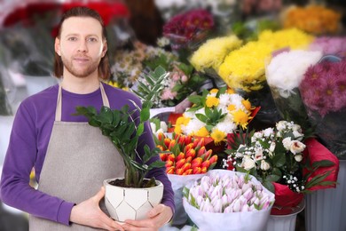 Image of Florist holding potted houseplant in shop 