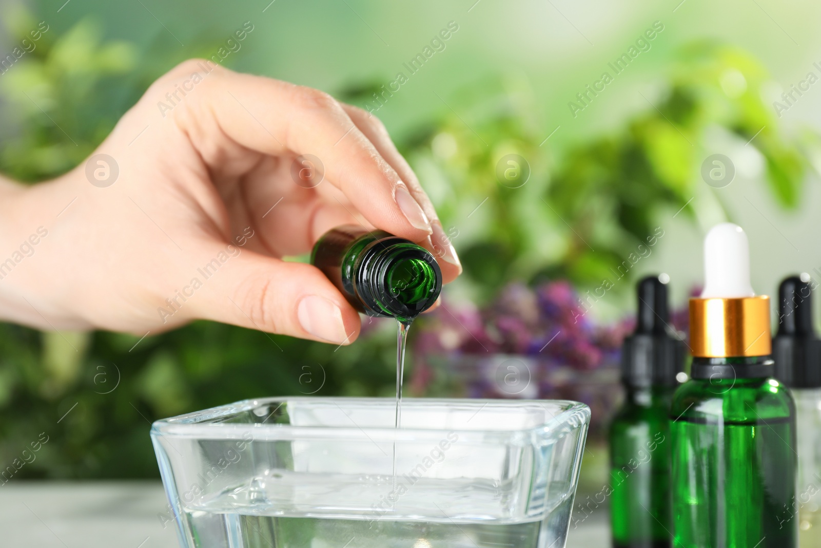 Photo of Woman dripping essential oil into bowl on table, closeup