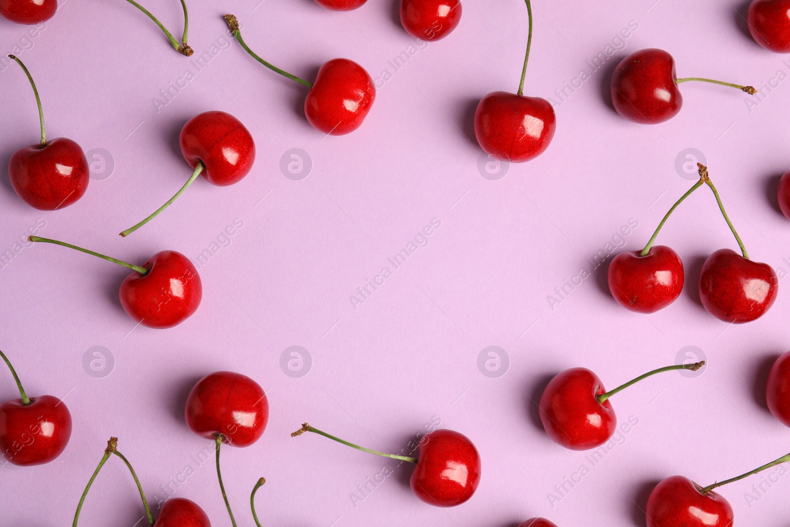 Photo of Flat lay composition with sweet cherries on lilac background. Space for text