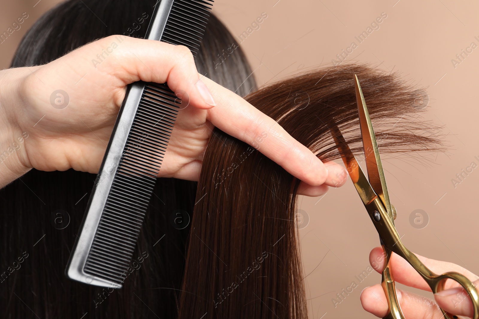 Photo of Hairdresser cutting client's hair with scissors on beige background, closeup