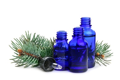 Different little bottles with essential oils and pine branches on white background