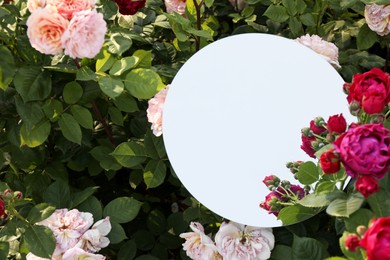 Photo of Round mirror among beautiful flowers reflecting sky, space for text