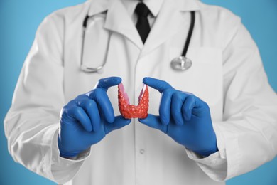 Photo of Doctor holding plastic model of thyroid on light blue background, closeup