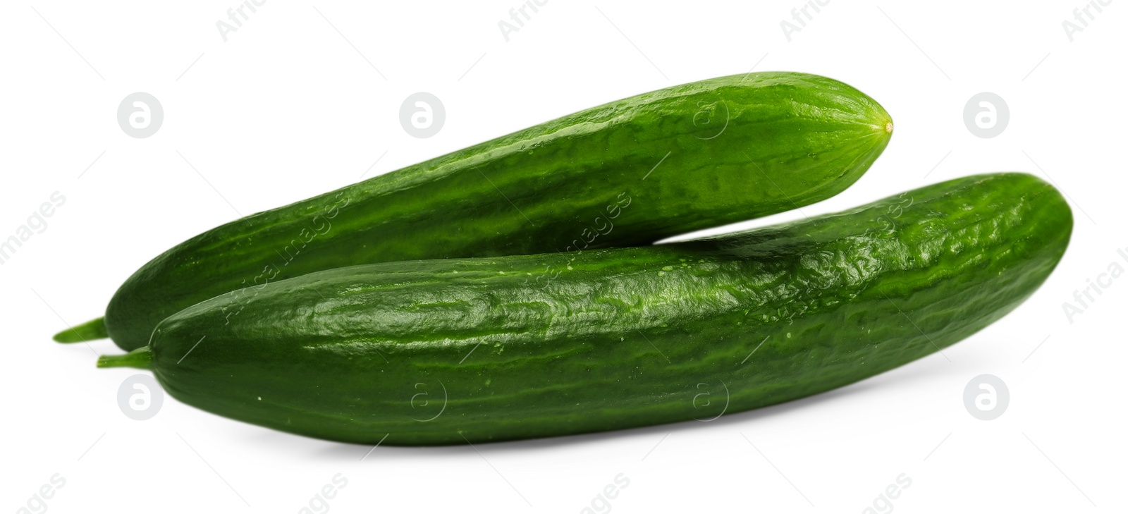 Photo of Two long fresh cucumbers isolated on white