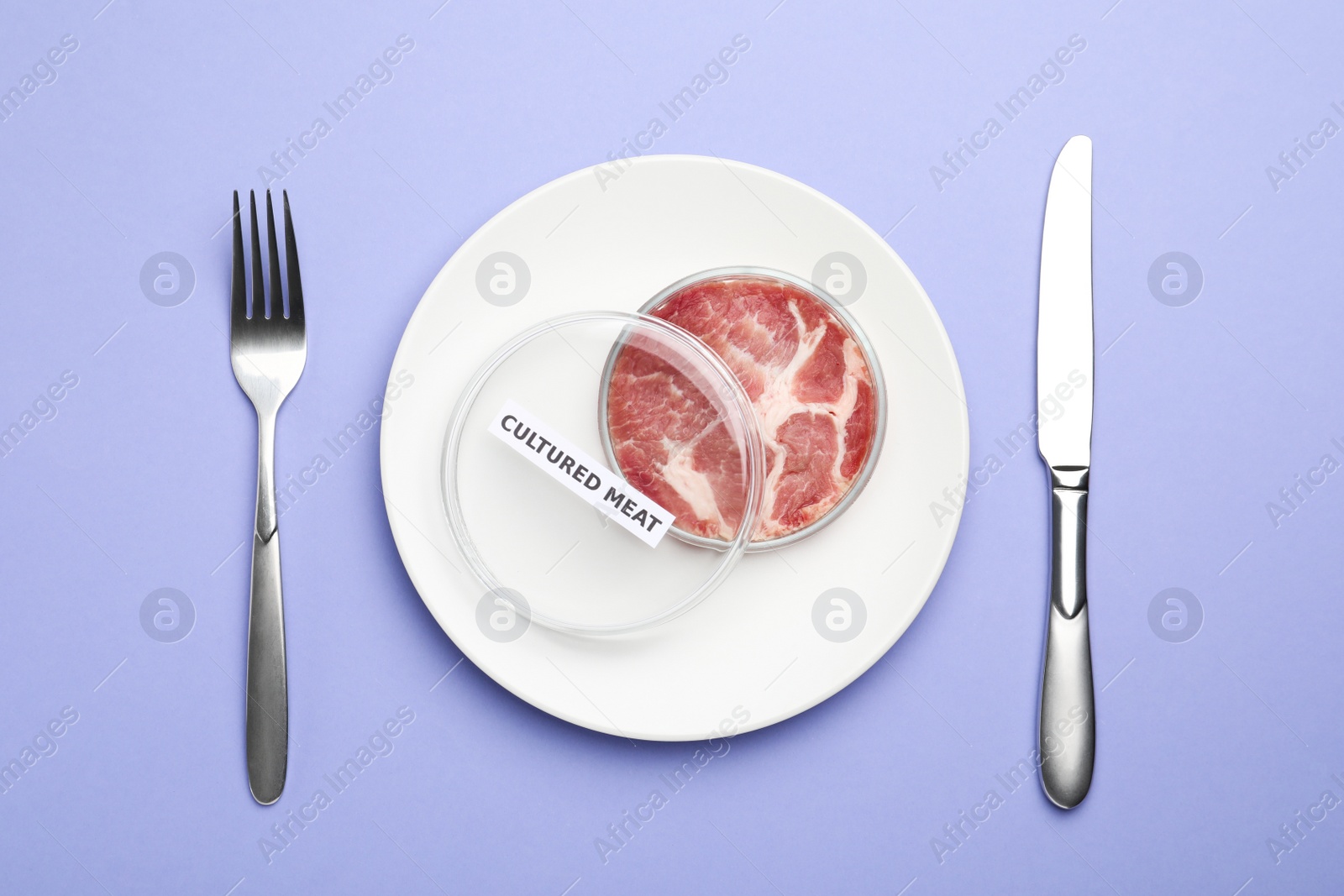 Photo of Cultured meat in Petri dish served on pale purple background, flat lay