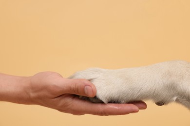 Dog giving paw to man on beige background, closeup