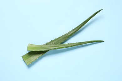 Photo of Fresh aloe vera leaves on light blue background