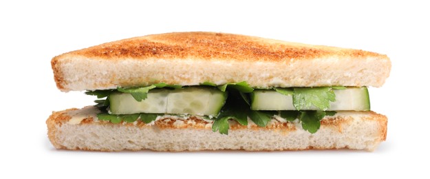 Tasty sandwich with cucumber and parsley on white background