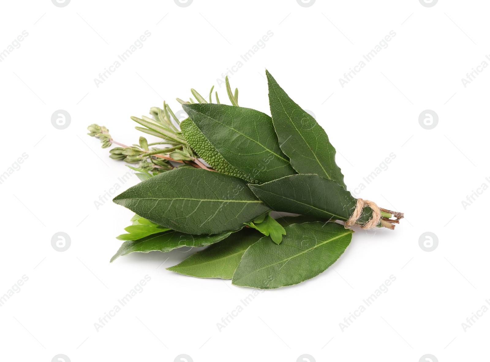 Photo of Bundle of aromatic bay leaves and different herbs isolated on white
