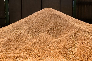 Photo of Pilewheat grains near fence outdoors