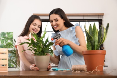 Photo of Mother and daughter taking care of plant at home