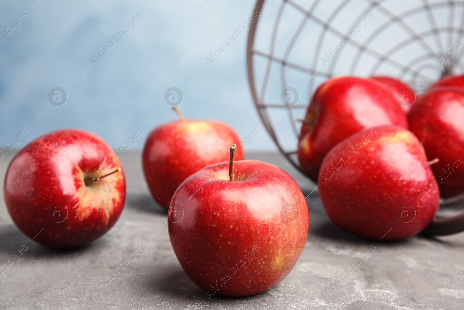 Photo of Ripe juicy red apples on grey table against blue background. Space for text