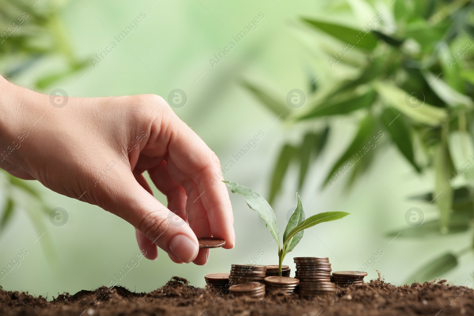 Photo of Woman putting coin onto pile and green plant on soil against blurred background, closeup