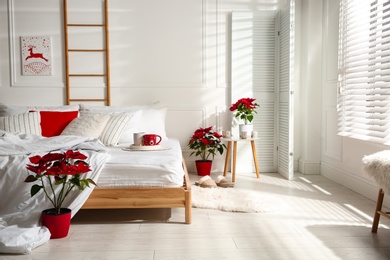 Photo of Poinsettias near bed in light cozy room. Christmas Interior design