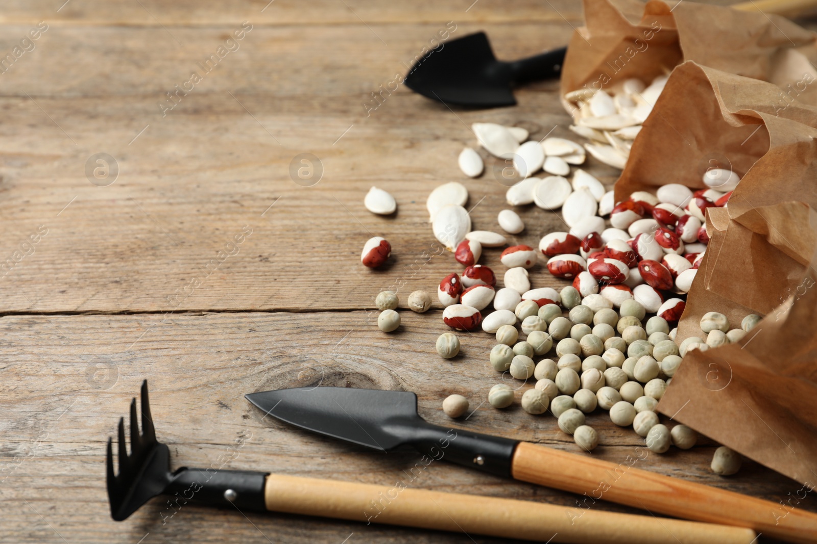 Photo of Different vegetable seeds and gardening tools on wooden table, closeup