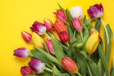 Photo of Beautiful colorful tulip flowers on yellow background, flat lay