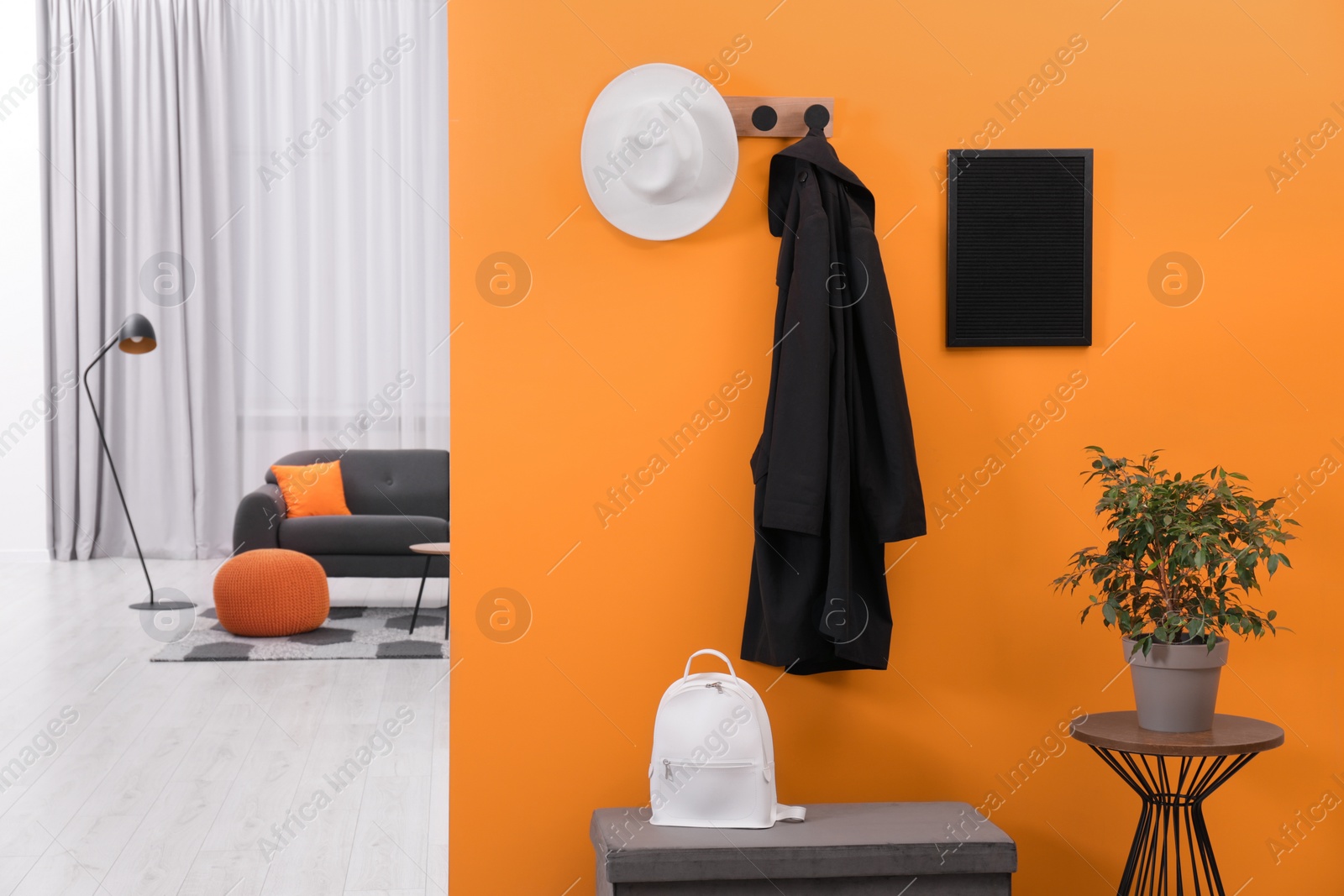 Photo of Hat, coat, backpack and houseplant near orange wall in stylish room, space for text. Interior design