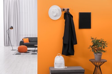 Hat, coat, backpack and houseplant near orange wall in stylish room, space for text. Interior design
