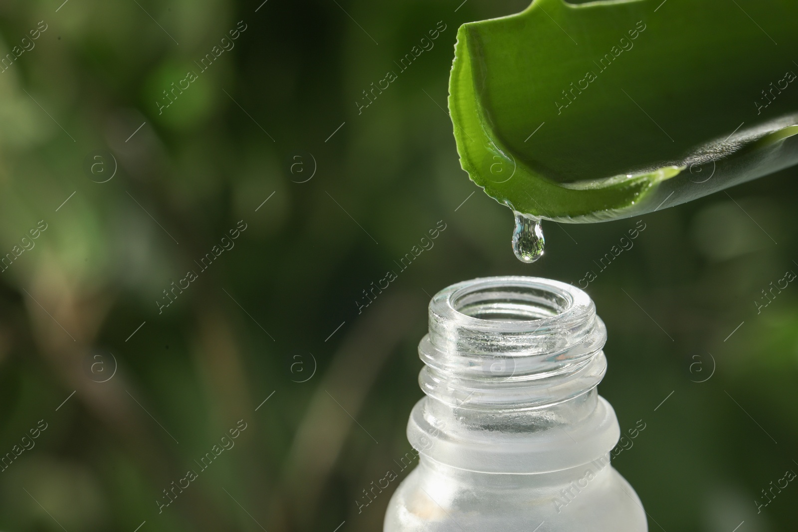 Photo of Aloe vera gel dripping from leaf into bottle against blurred background, macro view. Space for text