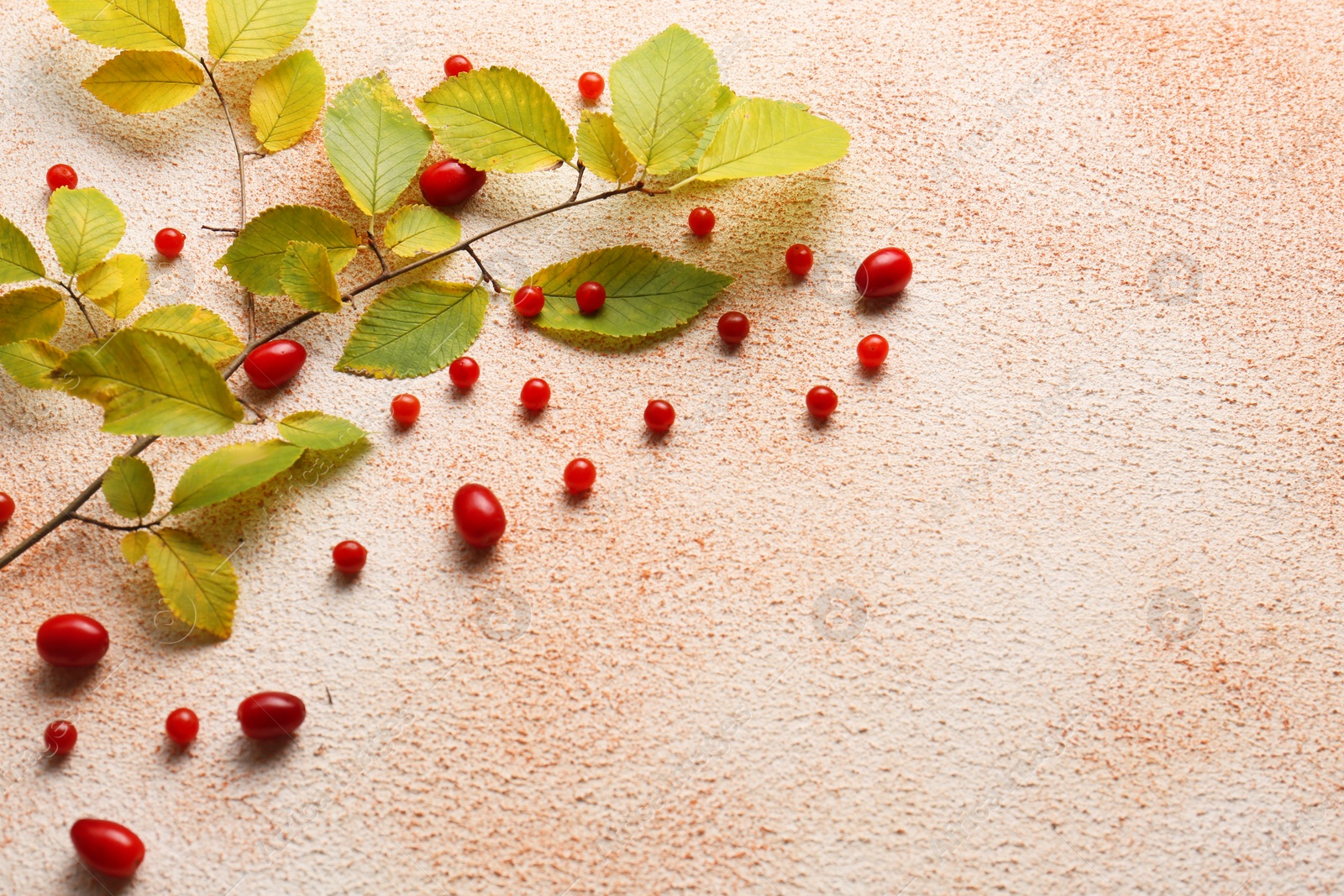 Photo of Branch of autumn leaves and red berries on color background, flat lay. Space for text