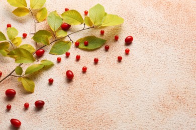 Photo of Branch of autumn leaves and red berries on color background, flat lay. Space for text