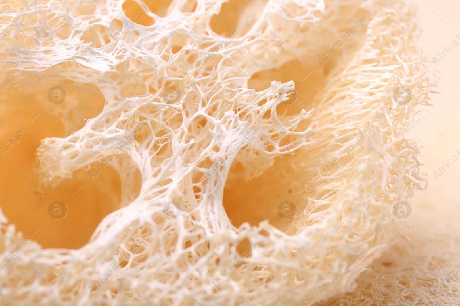 Photo of Natural loofah sponge as background, closeup view