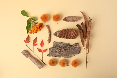 Photo of Tree bark pieces, cone and dry leaves on beige background, flat lay