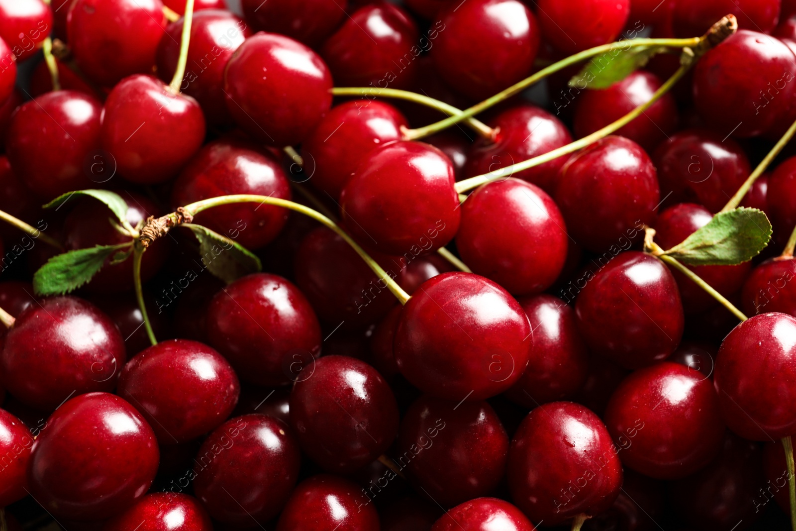 Photo of Delicious ripe sweet cherries as background, closeup view