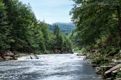 Photo of Wild mountain river flowing along rocky banks in forest