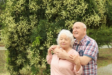 Portrait of cute elderly couple in park