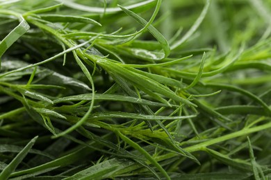 Photo of Fresh tarragon sprigs on blurred background, closeup