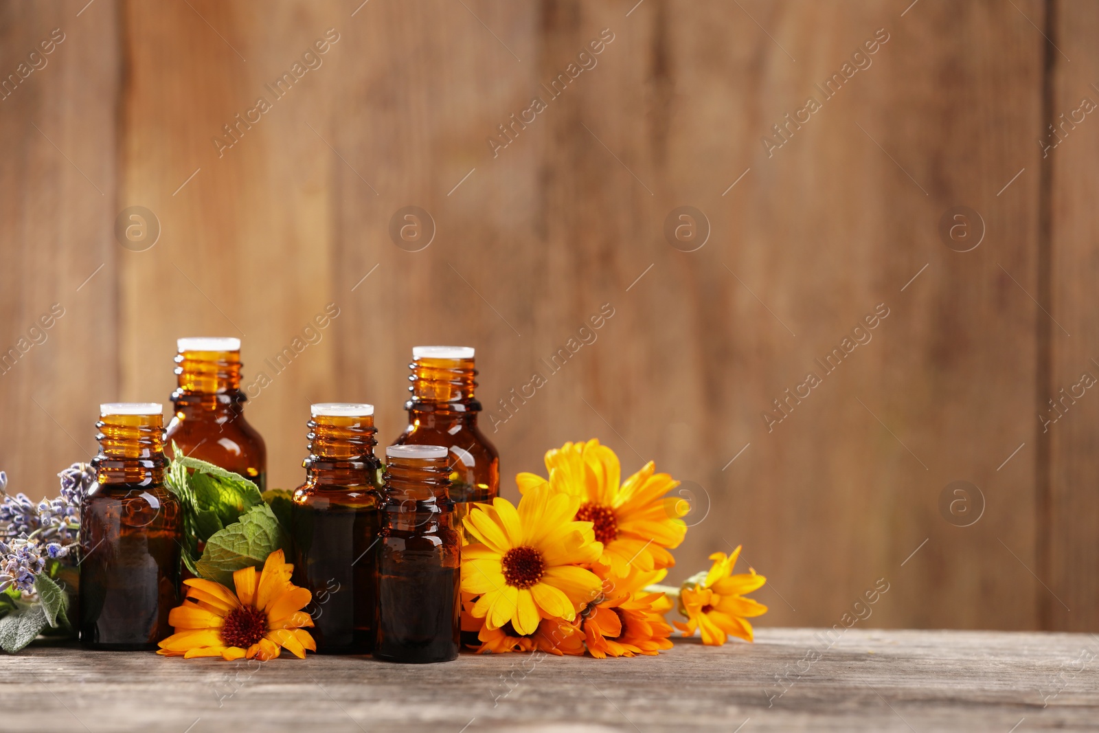 Photo of Bottles with essential oils, herbs and flowers on wooden table. Space for text