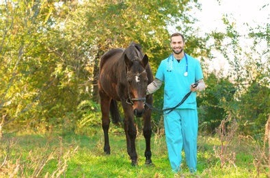 Photo of Veterinarian in uniform with beautiful brown horse outdoors. Space for text