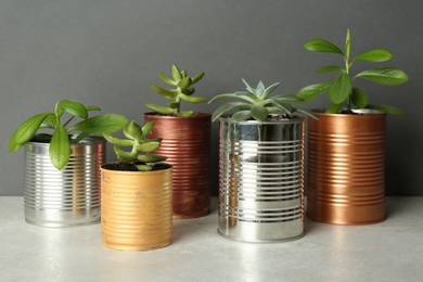 Beautiful houseplants in tin cans on light grey stone table