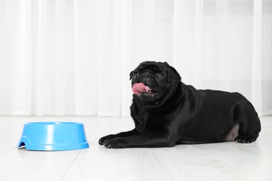 Photo of Cute Pug dog eating from plastic bowl in room, space for text