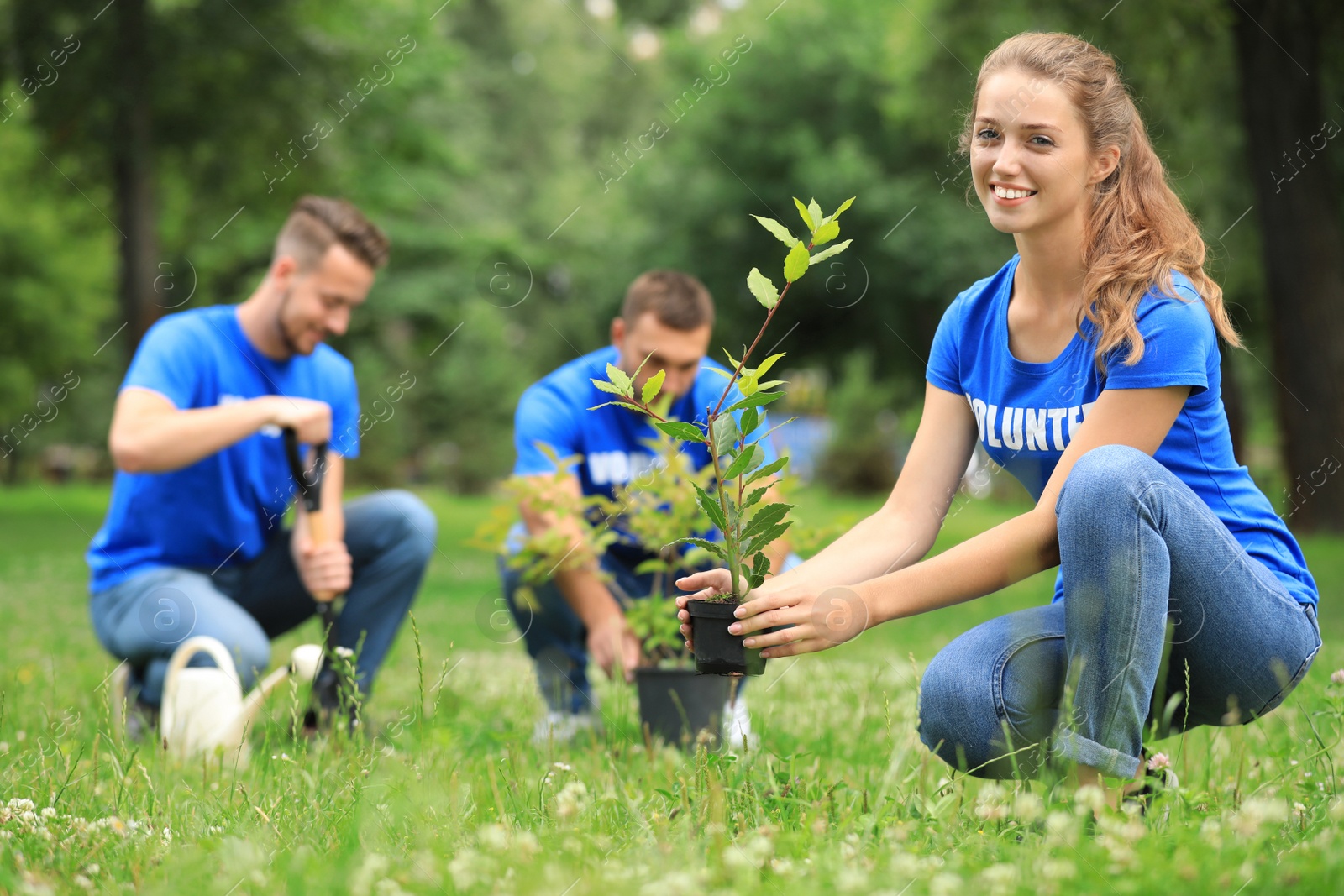 Photo of Young volunteers planting trees in green park. Charity work